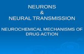 NEURONS & NEURAL TRANSMISSION NEUROCHEMICAL MECHANISMS OF DRUG ACTION.