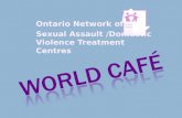 Ontario Network of Sexual Assault /Domestic Violence Treatment Centres.