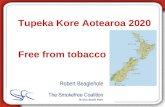 Tupeka Kore Aotearoa 2020 Free from tobacco Robert Beaglehole.