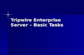 Tripwire Enterprise Server – Basic Tasks. Topics Server install Q&A Server install Q&A Understanding the UI Understanding the UI Settings manager Settings.
