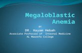 BY DR. Hayam Hebah Associate Professor of Internal Medicine AL Maarefa College.