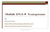 Http://lifesciencesaga.weebly.com1 Mobile DNA  Transposons By Anna Purna  .