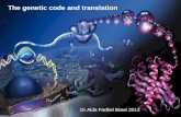 The genetic code and translation Dr.Aida Fadhel Biawi 2013.