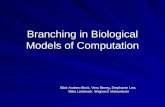 Branching in Biological Models of Computation Blair Andres-Beck, Vera Bereg, Stephanie Lee, Mike Lindmark, Wojciech Makowiecki Mike Lindmark, Wojciech.