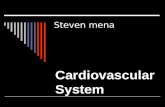 Steven mena Cardiovascular System. Cardiovascular systems.  The human heart pumps up blood through the vessels.