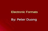 Electronic Formats By: Peter Duong My Hobbies Video Games Video Games Basketball Basketball Computers Computers Listening to Music Listening to Music.