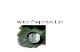 Water Properties Lab. Water is Polar Covalent Hydrogen Bonds Weak bonds between like molecules.