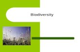 Biodiversity. How do Biotic and Abiotic factors affect communities?