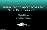 March 4, 20101 Visualization Approaches for Gene Expression Data Matt Hibbs Assistant Professor The Jackson Laboratory.