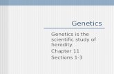 Genetics Genetics is the scientific study of heredity. Chapter 11 Sections 1-3.