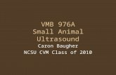 VMB 976A Small Animal Ultrasound Caron Baugher NCSU CVM Class of 2010.
