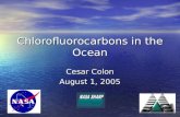 Chlorofluorocarbons in the Ocean Cesar Colon August 1, 2005.