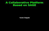 A Collaborative Platform Based on SAGE Javier Delgado.