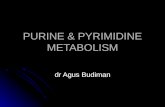 PURINE & PYRIMIDINE METABOLISM dr Agus Budiman. Nucleotide consists purine / pyrimidine base, ribose/deoxyribose and phosphates. Nucleotide consists purine.