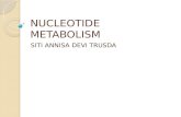 NUCLEOTIDE METABOLISM SITI ANNISA DEVI TRUSDA. Nucleotides are essential for all cells DNA/RNA synthesis  protein synthesis  cells proliferate Carriers.