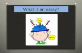 What is an essay?. This is an essay An essay is a group of paragraphs that supports, examines, outlines, explores, defends, analyzes, describes, develops,