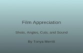 Film Appreciation Shots, Angles, Cuts, and Sound By Tonya Merritt.