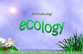© 2006 Plano ISD, Plano, TX Introducing. © 2006 Plano ISD, Plano, TX Ecosystem includes all abiotic and biotic factors in one particular environment Biotic.