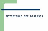 NOTIFIABLE BEE DISEASES. PROTECTION OF BEE COLONIES bee-keeper: spring-wintering: checks: every three weeks (bees, brood) examination before wandering: