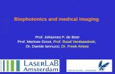 Prof. Johannes F. de Boer Prof. Marloes Groot, Prof. Ruud Verdaasdonk, Dr. Davide Iannuzzi, Dr. Freek Ariese Biophotonics and medical imaging.