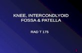 KNEE, INTERCONDLYOID FOSSA & PATELLA RAD T 175 1.