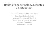 Basics of Endocrinology, Diabetes & Metabolism Hussam H. AlHawari, MD, FACE, ECNU Consultant Endocrinologist Assistant Professor of Medicine Department.