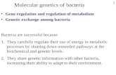 1 Molecular genetics of bacteria Gene regulation and regulation of metabolism Genetic exchange among bacteria Bacteria are successful because 1.They carefully.