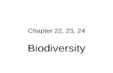 Chapter 22, 23, 24 Biodiversity. Key Concepts Ch. 22  Human effects on biodiversity  Importance of biodiversity  How human activities affect wildlife.