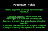 Pectinase Prelab Please copy the following definitions: (on handout) Chemical reaction: when atoms are rearranged in a molecule or molecules. Enzyme: a.