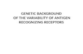 GENETIC BACKGROUND OF THE VARIABILITY OF ANTIGEN RECOGNIZING RECEPTORS.