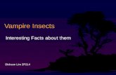 Vampire Insects Interesting Facts about them Dickson Lim 2P214.