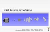 Tutorial on Testbeam Software - CERN, March 10th 2005 Daniela Rebuzzi – Pavia University and INFN CTB_G4Sim Simulation.