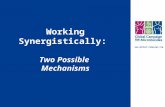 Www.global-campaign.org Working Synergistically: Two Possible Mechanisms.