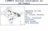 CIMMYT Action Corridors in SA/India Operate in ten states: AP, Punjab, Haryana, UP, Bihar, Jharkhand, Rajasthan, West Bengal, TN & Karnataka.
