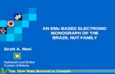 AN EMu BASED ELECTRONIC MONOGRAPH OF THE BRAZIL NUT FAMILY Scott A. Mori Nathaniel Lord Britton Curator of Botany.