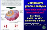 Comparative genome analysis bork@embl-heidelberg.de  Peer Bork EMBL & MDC Heidelberg & Berlin Hard data and soft interpretations?