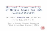 Optimal Dimensionality of Metric Space for kNN Classification Wei Zhang, Xiangyang Xue, Zichen Sun Yuefei Guo, and Hong Lu Dept. of Computer Science &