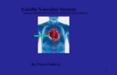 1 Cardio Vascular System Audience: Health/Physical educators and health aspiring students By Vince Colucci.