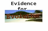 Evidence for…. Four Types of Evidence A. Fossils B. Transitional Forms C. Comparison of Organisms D. Evolution Today.