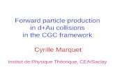 Forward particle production in d+Au collisions in the CGC framework Cyrille Marquet Institut de Physique Théorique, CEA/Saclay.