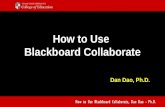 How to Use Blackboard Collaborate Dan Dao, Ph.D