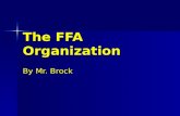 The FFA Organization By Mr. Brock. FFA History The National FFA organization began in 1928. The National FFA organization began in 1928. What does FFA.