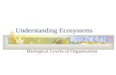 Understanding Ecosystems Biological Levels of Organization.
