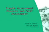 Single Assessment Process and Self Assessment Seamus Breen Change Agent December 2004.