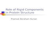 Role of Rigid Components in Protein Structure Pramod Abraham Kurian.