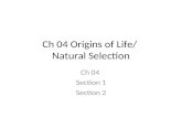 Ch 04 Origins of Life/ Natural Selection Ch 04 Section 1 Section 2.
