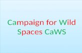 Campaign for Wild Spaces CaWS. Why are we here tonight?