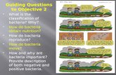 What is the classification of bacteria? Why?  How do bacteria obtain nutrition?  How do bacteria reproduce?  How do bacteria move?  How and why are.