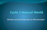 Review and Introduction to Microscopes. Overview Cell types Discovery Microscopes Reading #1 Reading #2 Diffusion / Osmosis Respiration / Fermentation.