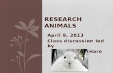 April 9, 2013 Class discussion led by Snowshoe Hare RESEARCH ANIMALS.